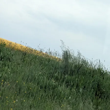 Hogus Βίλα